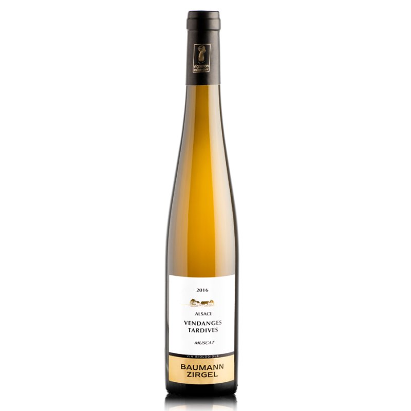 Muscat VT 2016 Muscat VT 2016