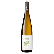 Sylvaner Vieille Vigne 2024 en conversion Bio