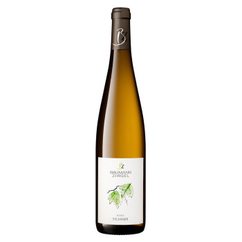 Sylvaner Vieille Vigne 2024 en conversion Bio