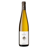 Pinot Gris 2025 Demeter