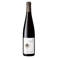 Pinot Noir "Pièce de Chêne" 2024 Demeter