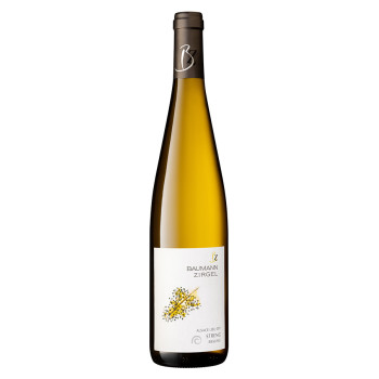 Colis 5 Riesling "Streng" 2023  Demeter +1 Offerte