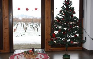 Cerisier_Noel_baumann-zirgel