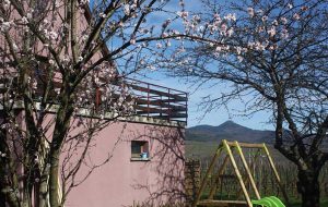 Terrasse_Amandier_baumann-zirgel