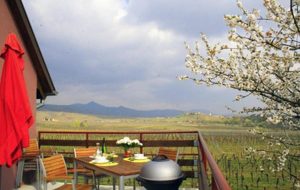 vue_terrasse_amandier_baumann-zirgel