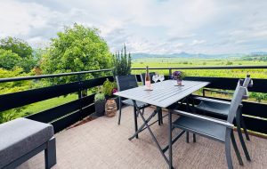 Gites de la Shirr_Le Cognassier-Terrasse Vue
